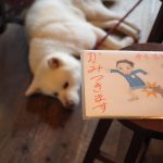 「韓国での写真が僕にとっての原点」BOOKS & FOLKART ナナクモ　森善之さん